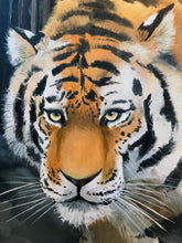 Carica l'immagine nel visualizzatore di Gallery, La verità